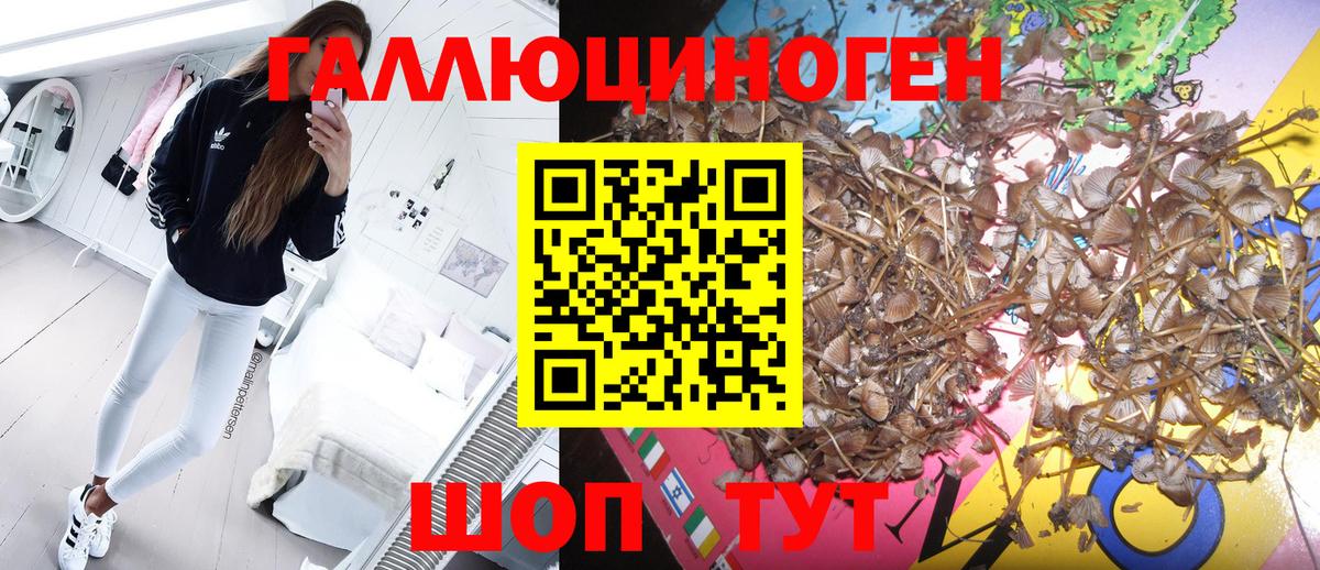 Галлюциногенные грибы Psilocybe Старая Купавна