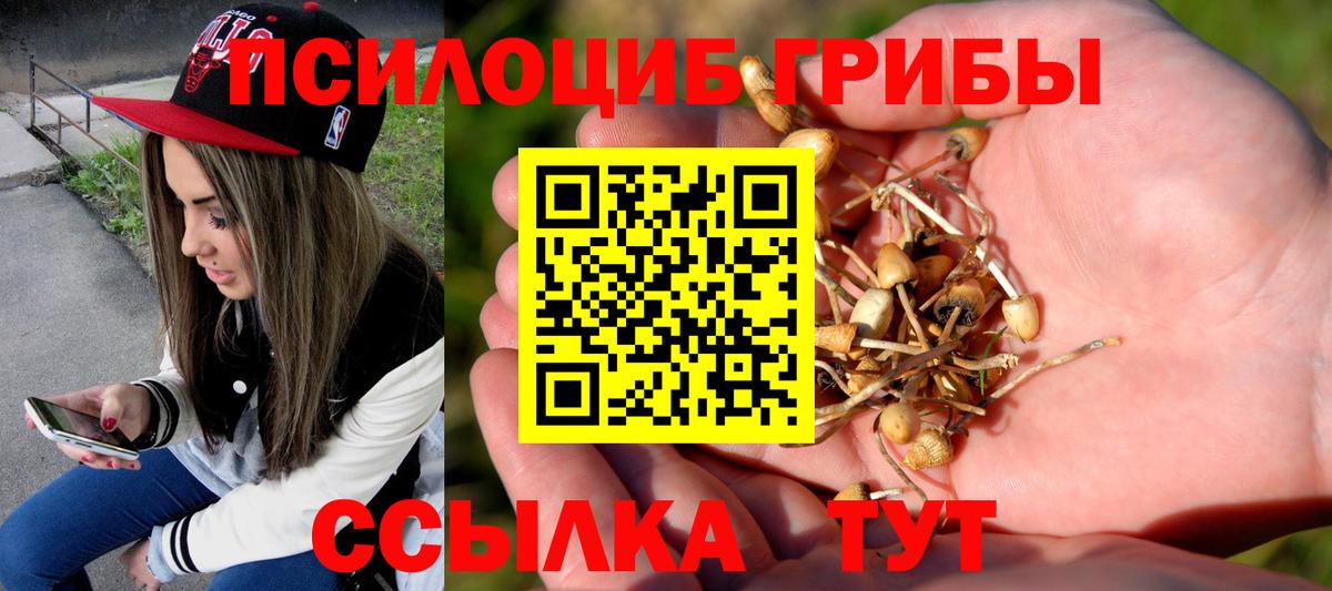 Старая Купавна  Псилоцибиновые грибы Psilocybe  Вход с VPN 
